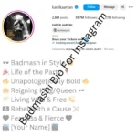 Badmashi-Bio-For-Instagram