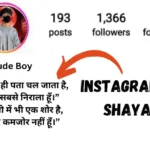 Instagram-Bio-Shayari